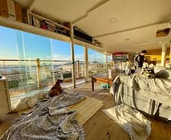 Taby Paws Hayvan Oteli