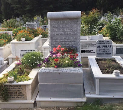 Taşyapı Mermer & Granit