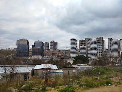 Teknik Yapı Concord