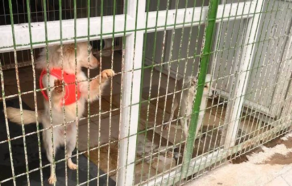 Tepebaşı Belediyesi Doğal Yaşam Merkezi