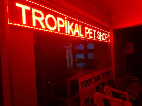 Tropikal Akvaryum & Pet Shop