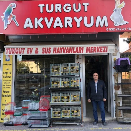 Turgut Akvaryum