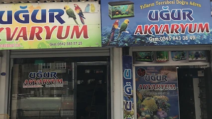 Uğur Akvaryum