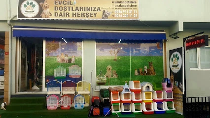 Ünalan Pet Store Malezya Discus (Paket Servis) | Emaar Square Pet Shop