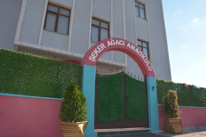 Uşak Şeker Ağacı Anaokulu