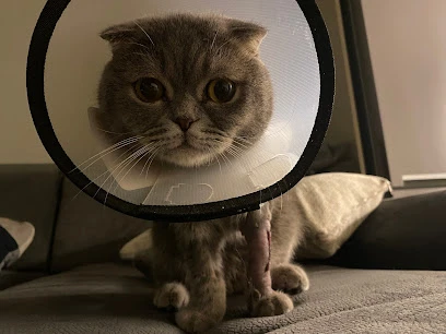 Uzman Veteriner Kliniği Vet. Hek. Mehmet Emre Köse