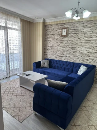 Van Günlük Daireler