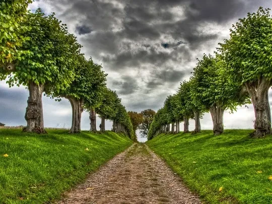 Van İpekyolu Peyzaj Ve Çiçekcilik