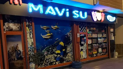 Van Petshop Mavi Su Petshop Ve Akvaryum
