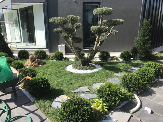 Ventus Peyzaj Ve Tasarım Ofisi