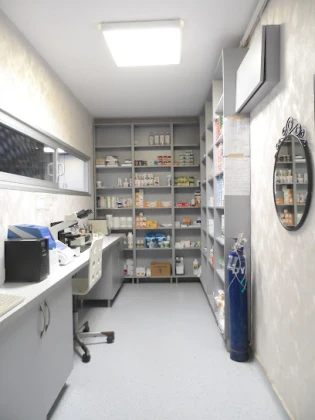 Vet Çizmeli Kedi Çekmeköy Veteriner Kliniği