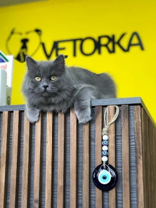 Vetorka Veteriner Kliniği