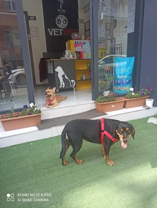 Vetred Veteriner Kliniği