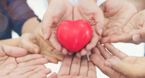 Vize Ilçesi Sosyal Yardımlaşma Ve Dayanışma