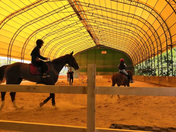 Yalova Atlı Spor Kulübü