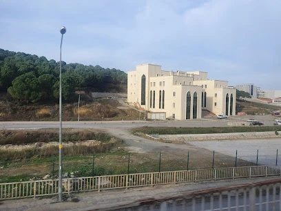 Yalova Üniversitesi