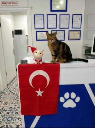 Yalova Veteriner Kliniği