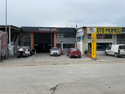 Yaprak Oto Beyin Elektrik/Elektronik