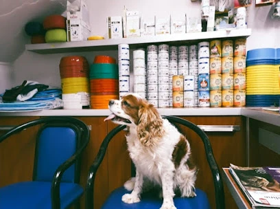 Yaşam Veteriner Kliniği