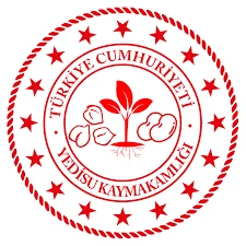 Yedisu Hükümet Konağı