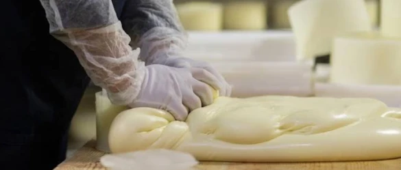 Yeni Yayla Süt Ürünleri Fabrikası