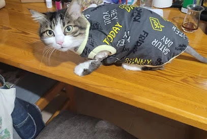 Yenimahalle Veteriner Kliniği