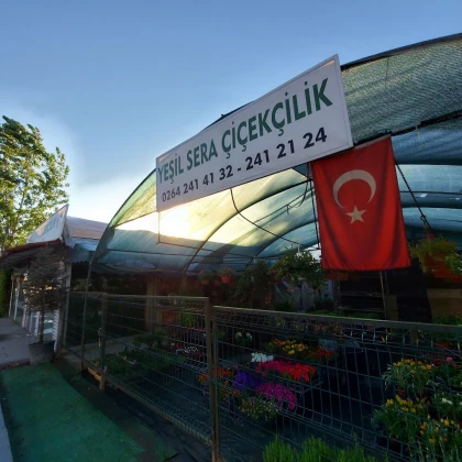 Yeşil Sera Çiçekçilik