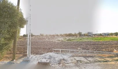 Yıldırım Oto Elektronik Ve Elektrik Hizmetleri