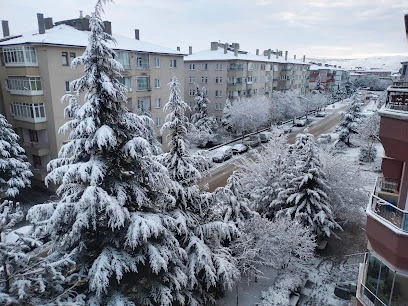 Yıldırım-Uydu Tamiri-Elektrik-Kamera-İşleri Yapılır.cankırı