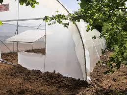 Yılmaz Ticaret-Seracılık