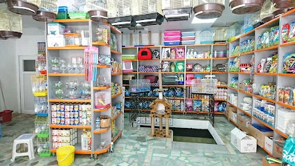 Yunus Park Pet Shop (Yıldırım/Bursa) - Bursa Yıldırım - 1