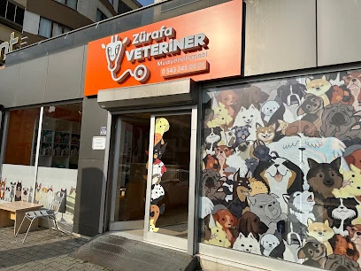 Zürafa Veteriner Muayenehanesi