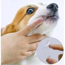 Zuzu Pet Kuaför - Diyarbakır Pet Kuaför