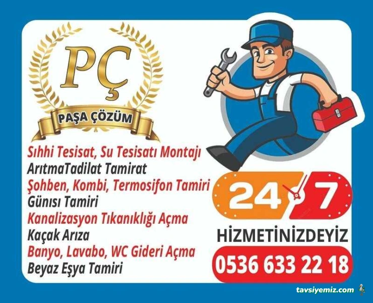 Pasa Hizli Cozum