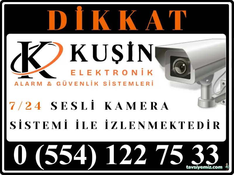 Kuşin Elektronik