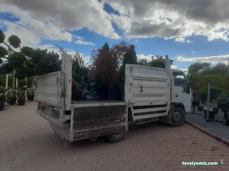 Konya Nakliye Ve Taşıma Hizmetleri Moloz Atımı