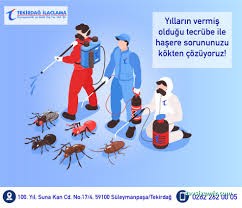 Tekirdağ İlaçlama