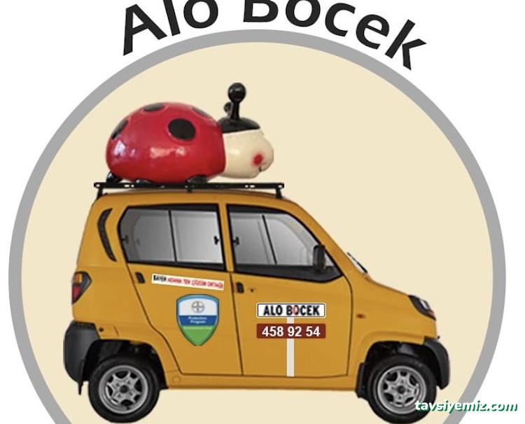 Fidas İlaçlama | Alo Böcek | Adana Haşere Ve Böcek İlaçlama Firması