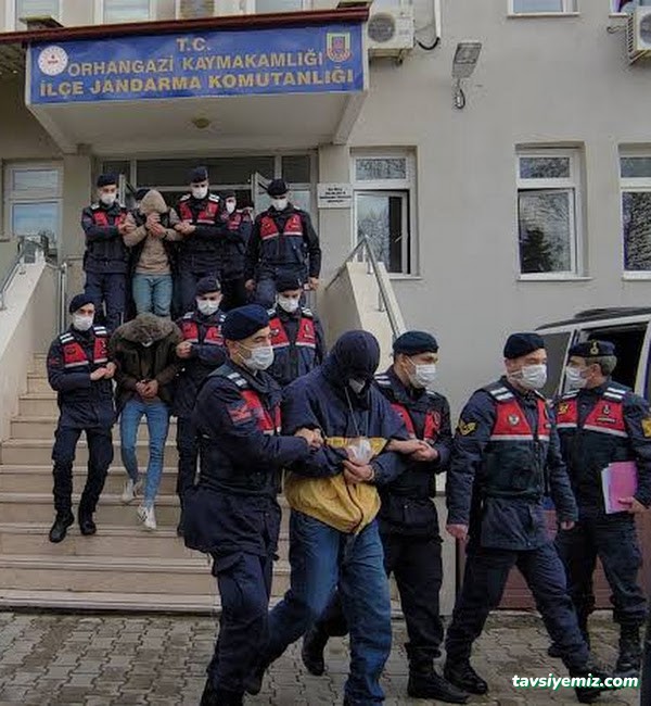 Jandarma Karakolları