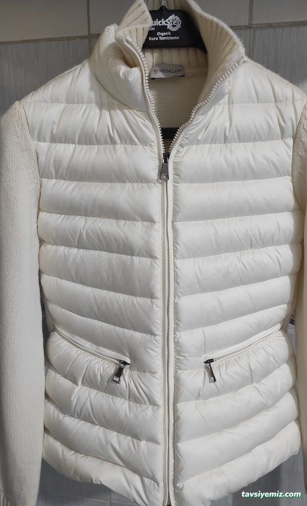 Quickstep Organik Kuru Temizleme