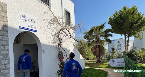 Bodrum Koltuk Yıkama