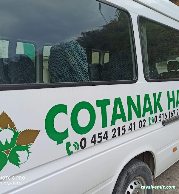 Çotanak Halısaha Giresun