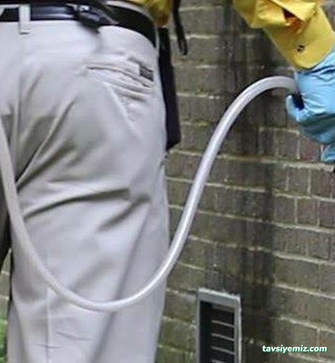 Sakarya Haşere İlaçlama | Sakarya Karınca Böcek Haşere İlaçlama