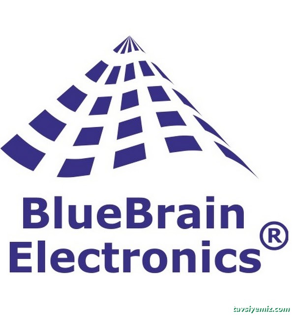Bluebrain Electronics