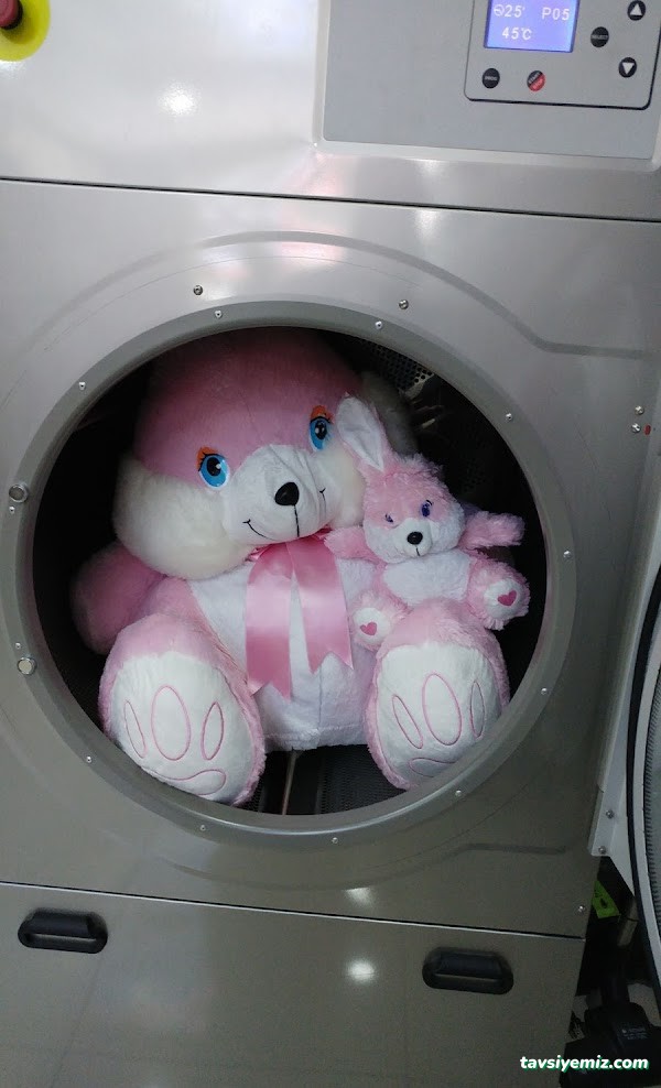 Express Kuru Temizleme