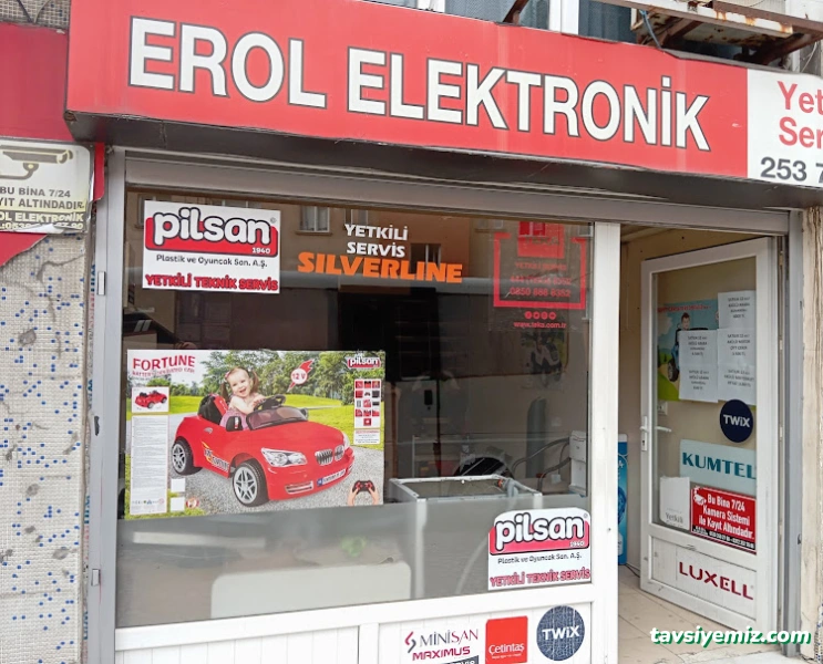 Erol Elektronik