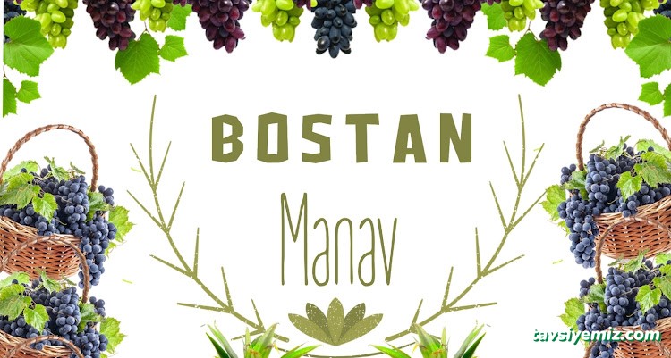Bostan Manav