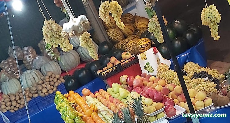 Yeşilyurt Mh. Fevzi Paşa Cd, 17 Ağustos, Fay Hattı Bulvarı No:4, 41190 Başiskele/Kocaeli