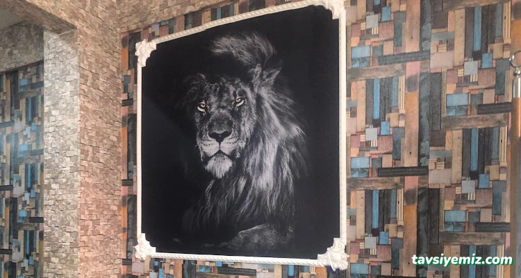 Crazy İnternet Kafe Cafe E-Spor