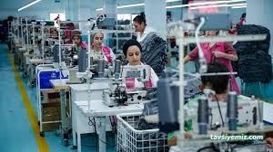 Dedeler Temizlik Yapı İnşat Ltd Şti